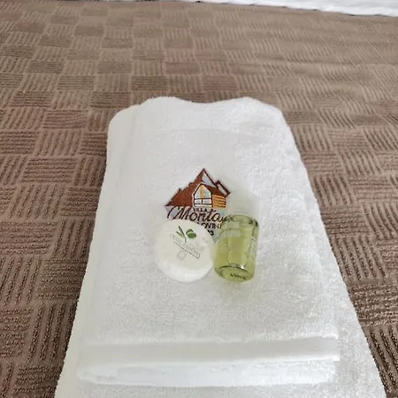 Montana Zaovine 公寓 *